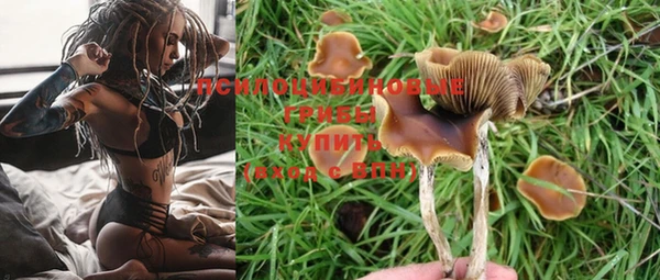 ГАЛЛЮЦИНОГЕННЫЕ ГРИБЫ Абинск