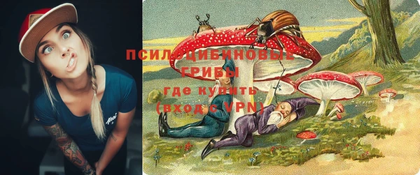 ГАЛЛЮЦИНОГЕННЫЕ ГРИБЫ Абинск