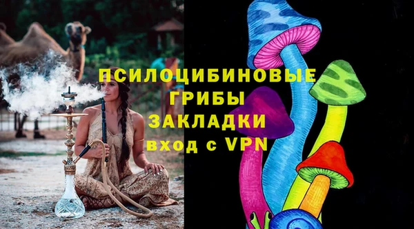 ГАЛЛЮЦИНОГЕННЫЕ ГРИБЫ Абинск