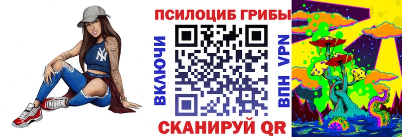 Псилоцибиновые грибы ЛСД  гидра ссылка  Кизляр 