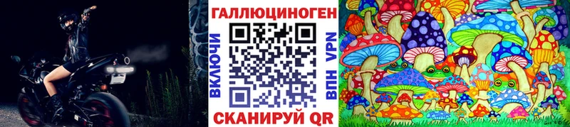 Псилоцибиновые грибы Cubensis Кизляр