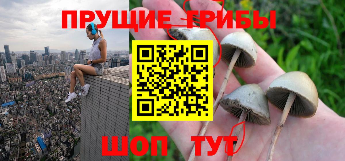 Галлюциногенные грибы Magic Shrooms  Вход с VPN  Кизляр 