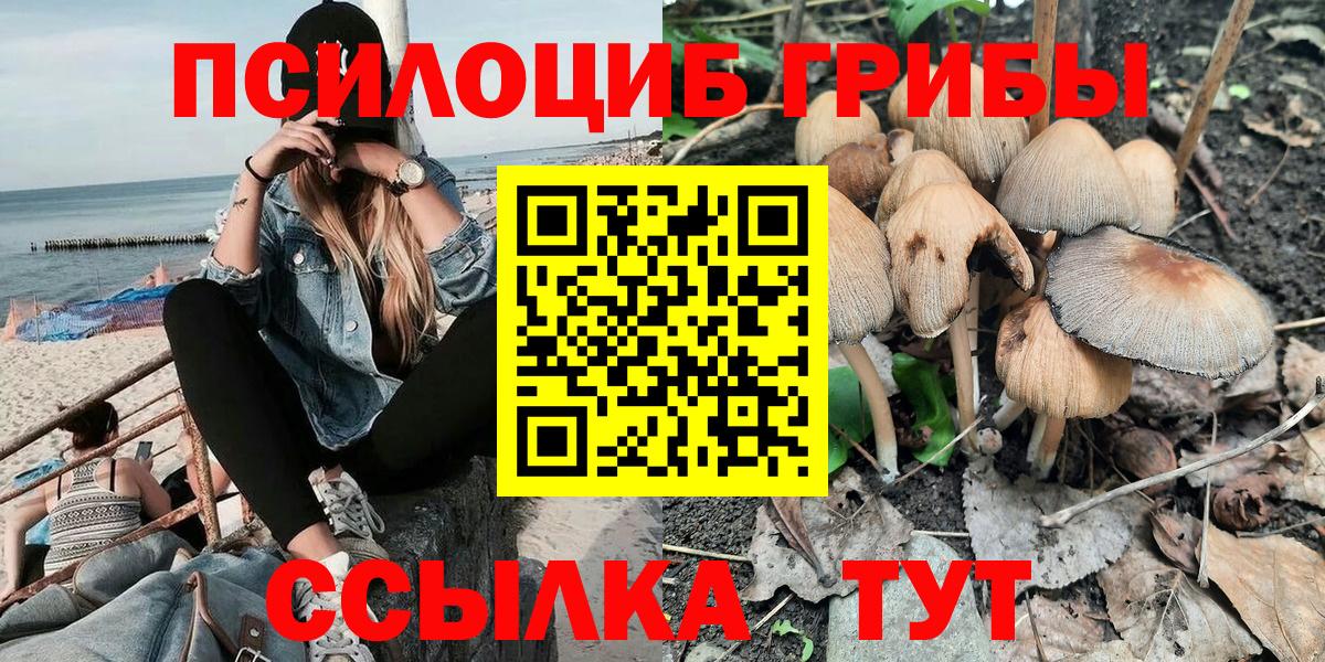 Псилоцибиновые грибы мицелий Кизляр